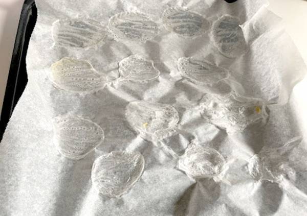 透明なポテチ、見たことある？　家で作ってみたら大人も子供も感動！