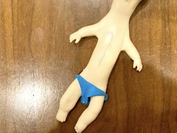 「戻し方が分からない…」　SNSで話題の人形、遊んで変形した姿に困惑