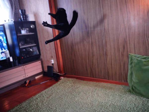 黒い『未確認飛行物体』の正体とは…?　『ブラックフライデー』に激写した驚きの１枚