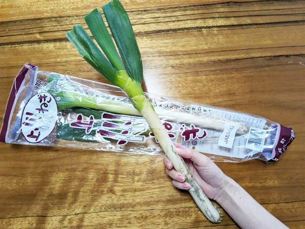 「捨てていい？」「硬すぎる！」　 ネギ農家に聞いた『青い部分』のおいしい食べ方