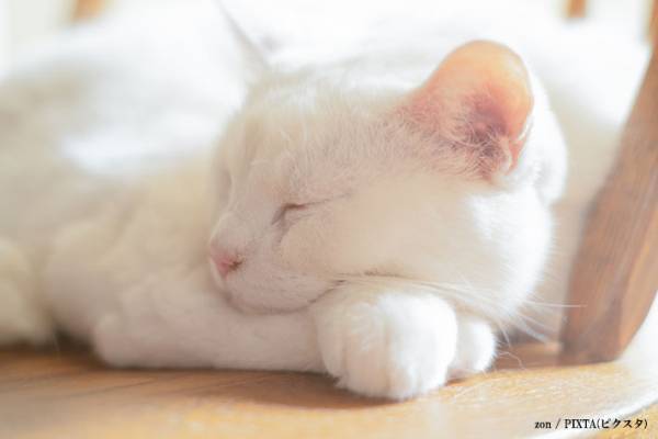 【『大奥 Season2』感想１０話】 岸井ゆきのと志田彩良が紡ぐ名前を越えた愛情