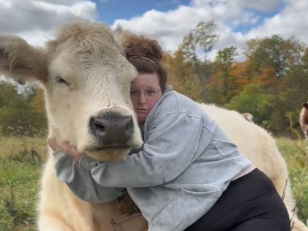 女性が語る『ウシをペットにする理由』が説得力ありすぎ「私もムギューとしたい」