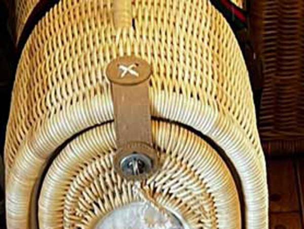 診察を終えた猫の姿がまるで？　「吹き出した」「猫界のきかんしゃトーマスかな」