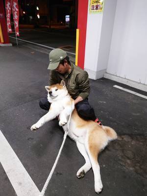 絶対に帰りたくない秋田犬　抵抗の仕方に「子供かな？」「いい表情をしすぎ」