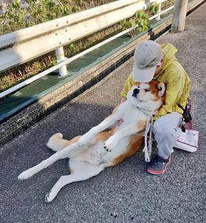 絶対に帰りたくない秋田犬　抵抗の仕方に「子供かな？」「いい表情をしすぎ」