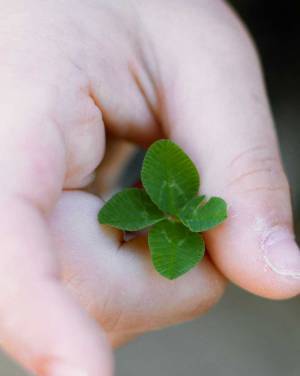 「お花みたいな葉っぱを見つけた」　３歳児が持っていたものを二度見　なぜなら？　「今年一番、尊い光景」