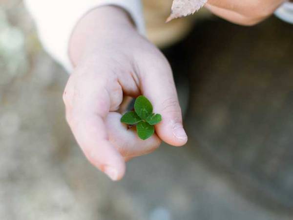 「お花みたいな葉っぱを見つけた」　３歳児が持っていたものを二度見　なぜなら？　「今年一番、尊い光景」