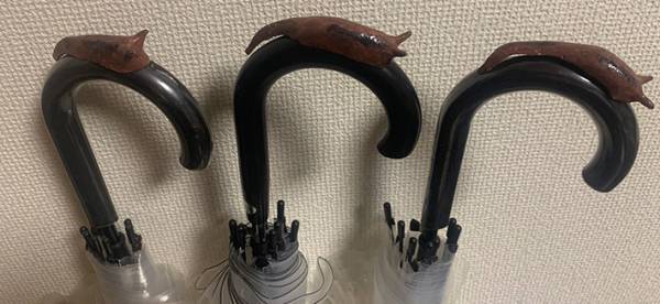 知人が傘を盗まれて…　生まれた盗難防止グッズに「絶対に盗まれない」「これは名案」