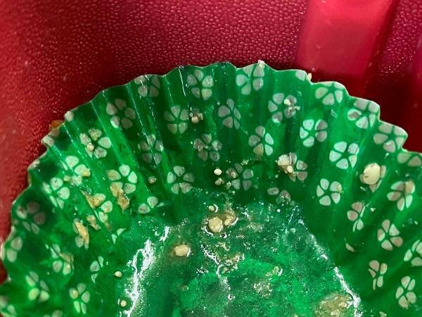 「何が分かる。おひたし風情に」　惣菜カップの底に書かれたのは…　「笑った」「急に説教された感覚」