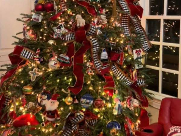 「オーナメントかと思った！」 　美しく飾られたクリスマスツリーをよく見ると…？