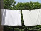 冬場のシーツ、週に何回洗うのがいい？　洗濯のプロの回答に「驚いた！」