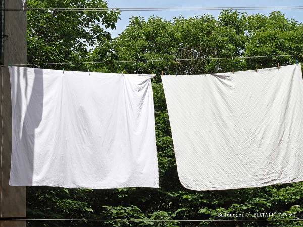 冬場のシーツ、週に何回洗うのがいい？　洗濯のプロの回答に「驚いた！」