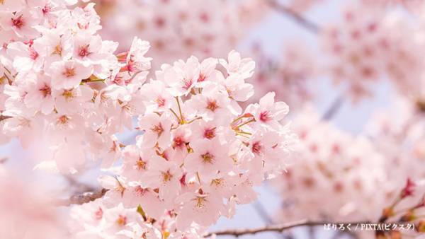 【『大奥 Season2』感想　最終話】流れゆく大河のように　忘れられた人々が紡ぐ歴史