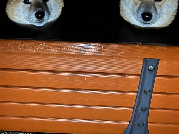 夜のベンチを撮影したら？　写り込んでいた『存在』にゾッとする