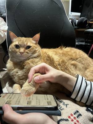 どうしても年末ジャンボを当てたい妻　とった手段に「ご利益ありそう」「うちもやった！」