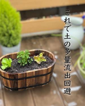 使い古したスポンジの思わぬ活用法　「その発想はない」「すごい！」