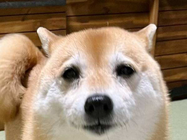 信号待ち中、声をかけてきた興奮する男性　理由に「そりゃ声かけるわ」「たまんねえぇえ！」