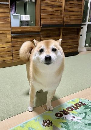 信号待ち中、声をかけてきた興奮する男性　理由に「そりゃ声かけるわ」「たまんねえぇえ！」