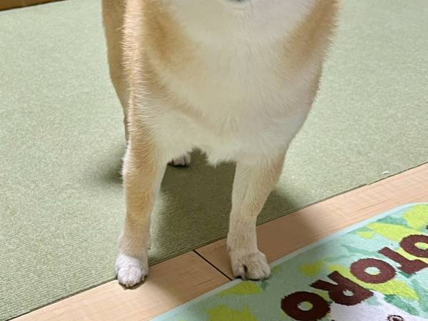 信号待ち中、声をかけてきた興奮する男性　理由に「そりゃ声かけるわ」「たまんねえぇえ！」