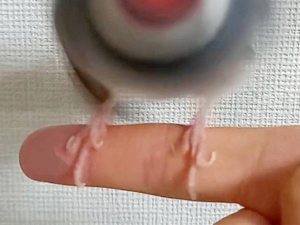 水浴び後の文鳥を撮影したら？　現れた『あのキャラクター』に「すげぇ！」「恐るべし」