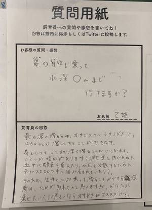 質問「水深何mまで行けますか？」　察した飼育員の回答に「さすが」「最後の１行に笑った」