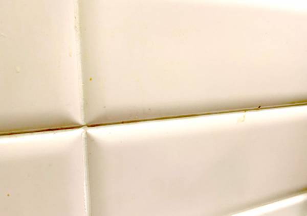 キッチンの酷い汚れ、どうしてる？　洗剤なしで落とせるグッズに「すごすぎ」