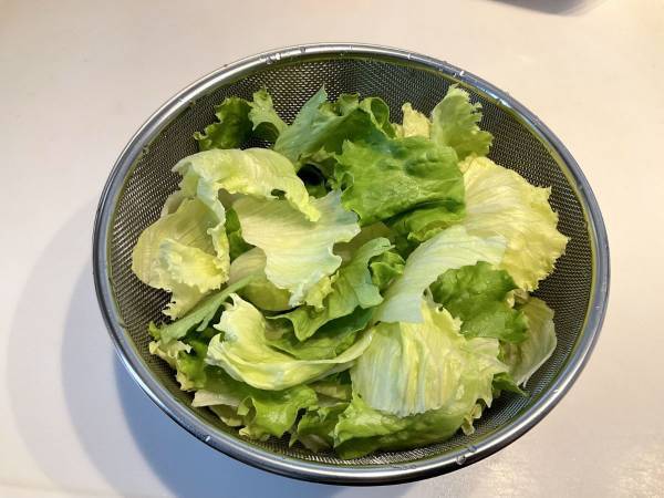 ちぎったレタスの変色を防ぐ保存方法が目からウロコ　「コレ便利」「手間いらず」