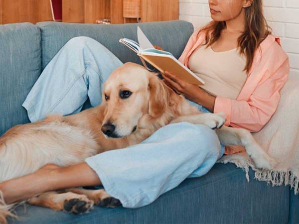 読書をしていたら　本の上に落ちてきたものに、笑う「遊んであげて！」