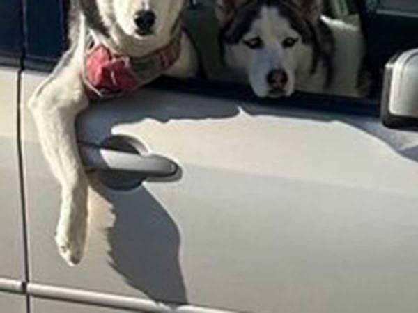 スーパーの駐車場で人妻に声を掛けたのは？　写真に「やだ…イケメン」「コレは着いてく」