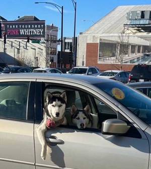 スーパーの駐車場で人妻に声を掛けたのは？　写真に「やだ…イケメン」「コレは着いてく」