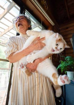 飼い主「頼もしく成長しました」　愛猫の『ビフォーアフター』の写真に「まるでジャイアン！」