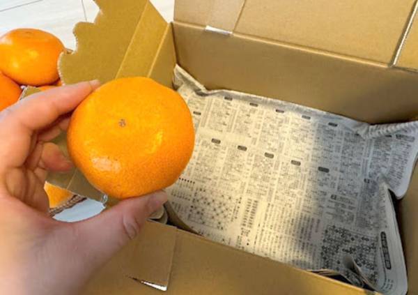 全滅を阻止するためにやってみて！　箱買いしたみかんの保存方法