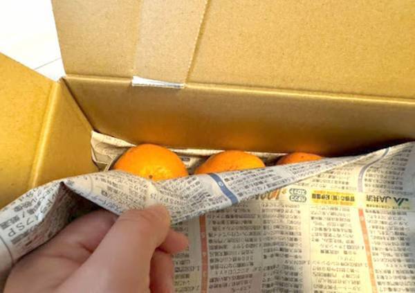 全滅を阻止するためにやってみて！　箱買いしたみかんの保存方法