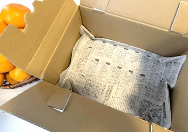 全滅を阻止するためにやってみて！　箱買いしたみかんの保存方法