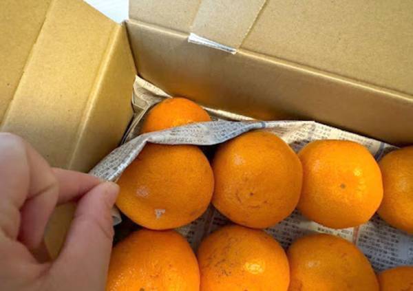 全滅を阻止するためにやってみて！　箱買いしたみかんの保存方法