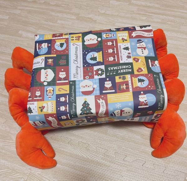 どうしてチャレンジした？『包装失敗プレゼント』に「崩れ落ちて爆笑する」「何も悪くない」