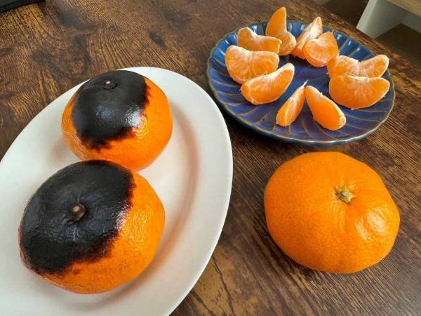 冷凍？焼く？それとも…？　一番おいしいミカンの食べ方に「これは試してほしい！」