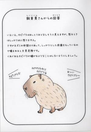 「カピバラはなぜ怒らないの？」　飼育員の回答に「絵で笑った」「そうだったの！？」