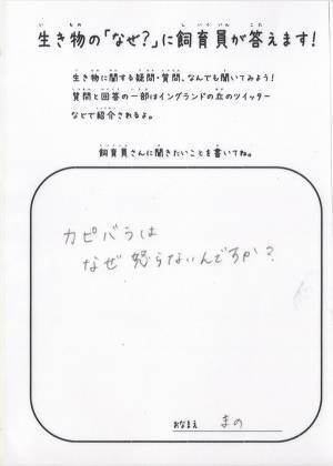 「カピバラはなぜ怒らないの？」　飼育員の回答に「絵で笑った」「そうだったの！？」