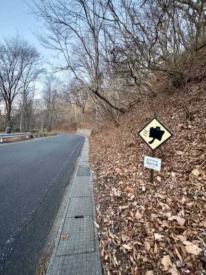 『横断注意』の看板　描かれていたのが意外な動物で！？　「テンション上がりそう」