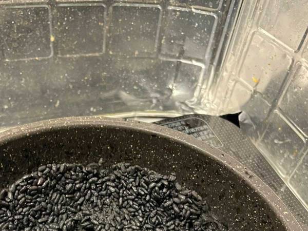 パエリアを作ろうとした大学生が「泣いた」　理由に「無事でよかった…」