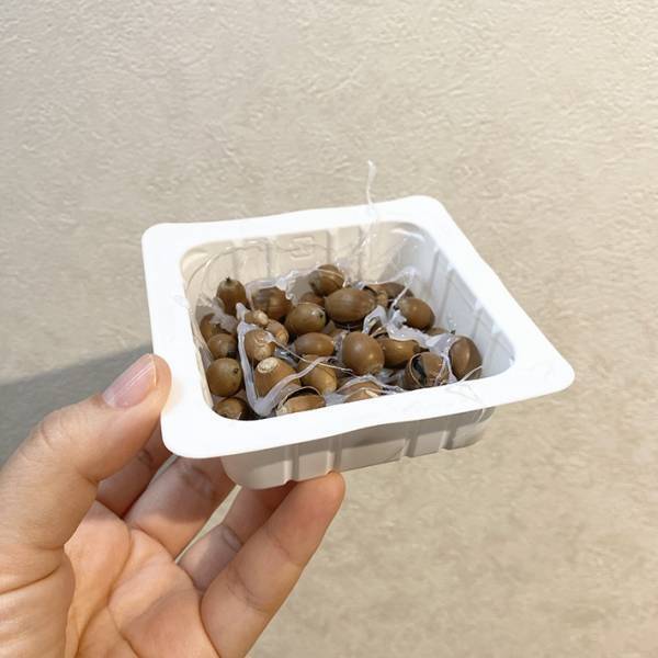 「子供が保育園で作ってきた納豆」　完成度に驚きの声！「天才やん」