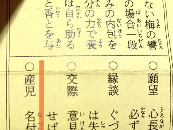 「神様ナイス」「よくぞ止めた」　子供の名前を考えていた親が、おみくじを引くと？