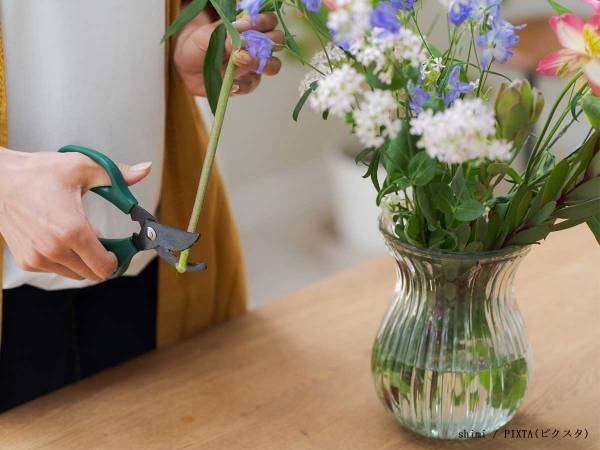 日比谷花壇「茎の下部をカットして！」　生花を花瓶にいける時のポイントとは？