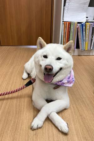 「ほれぼれする仕事ぶり」　温泉宿のスタッフが絶賛するのは…？