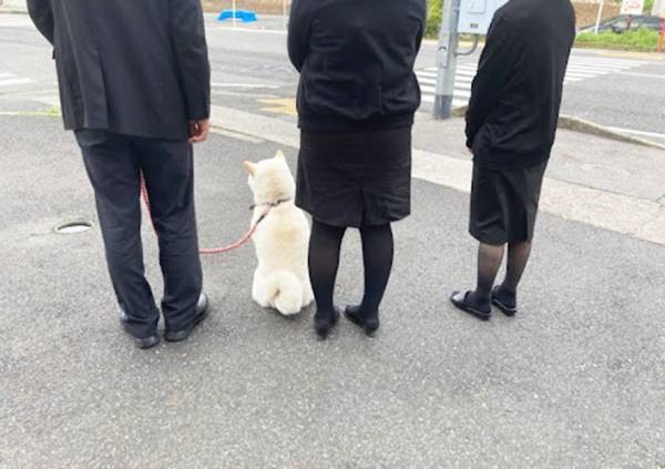 「ほれぼれする仕事ぶり」　温泉宿のスタッフが絶賛するのは…？