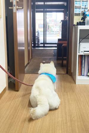 「ほれぼれする仕事ぶり」　温泉宿のスタッフが絶賛するのは…？