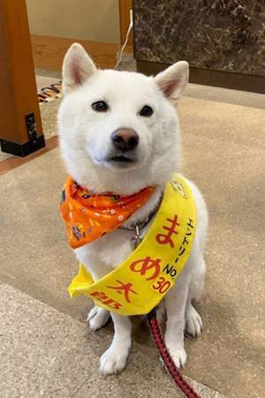 「ほれぼれする仕事ぶり」　温泉宿のスタッフが絶賛するのは…？