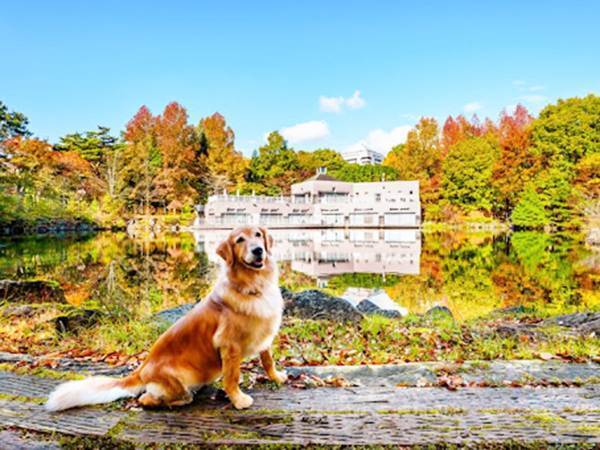 「約８年間、ひたむきに勤務」　那須のホテルで人々を癒し続けたのは…