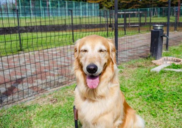 「約８年間、ひたむきに勤務」　那須のホテルで人々を癒し続けたのは…